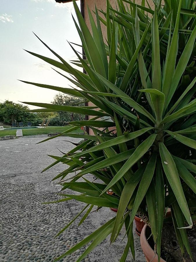 B&B Ronco Degli Ulivi Iseo Exterior foto